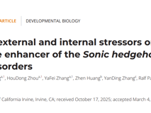 医学部乐志操教授团队在PNAS发表多种应激压力通过毛囊应激增强子导致毛发异常研究成果