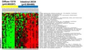 Dysregulation of telomere maintenance drives intestinal-type gastric carcinogenesis