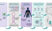 Decoding the anti-oncogenic potential of Centella asiatica: computational identification of miRNA–gene interactions in Hepatocellular carcinoma