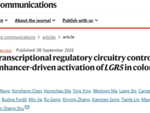医学部舒兴盛团队在《Nature Communications》发表核心转录调节环路驱动LGR5激活及结直肠癌转移的研究成果