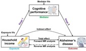 Causal effect of household income on Alzheimer's disease risk and mediation by cognitive performance: a bidirectional, two‑sample, two‑stage mendelian randomization study