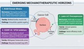 Mechanical stress and nuclear envelope integrity as drivers of genomic instability in non-small cell lung cancer