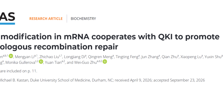 医学部朱卫国教授团队在PNAS发表m7G RNA招募QKI5促进同源重组修复的研究成果