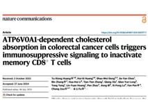 医学部付利教授团队在Nature Communications发表肥胖促进肿瘤免疫逃逸研究成果
