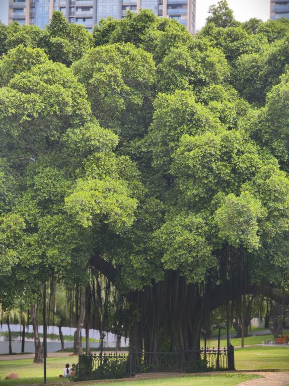 3fb68d35c2d4ea783d984aad631bf128