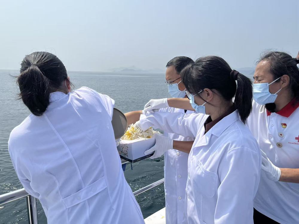 2b8c969e7d54dd77745e33baa2100374