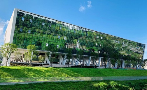深圳大学医学部基础医学暑期学校（2027级）招生简章
