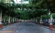 平行病历丨坚韧如歌