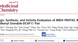 J. Med. Chem. | 深圳大学医学部李国锋等报道靶向蛋白质降解的高通量筛选研究成果